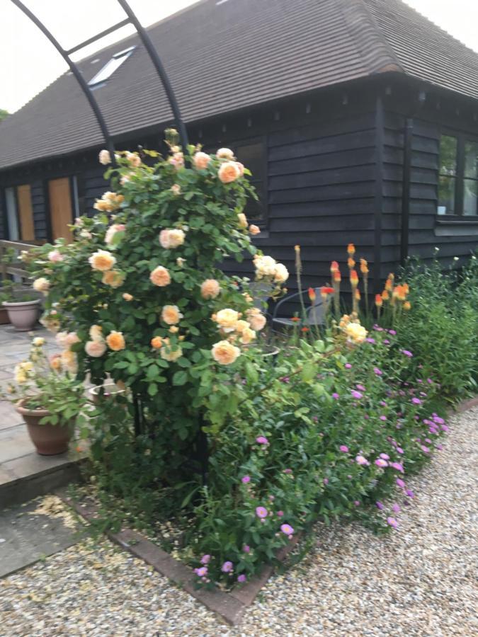 Little Orchard Cottage カンタベリー エクステリア 写真